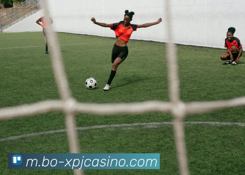 App Interface Preview