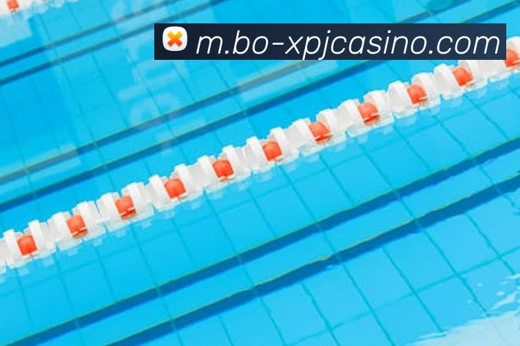 新葡京娱乐APP 封面图